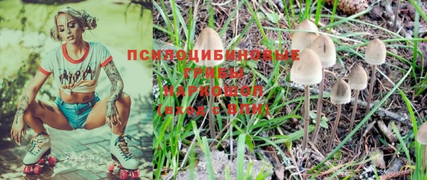 альфа пвп Магас