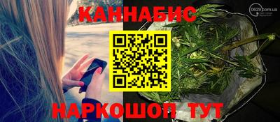гашик Ливны