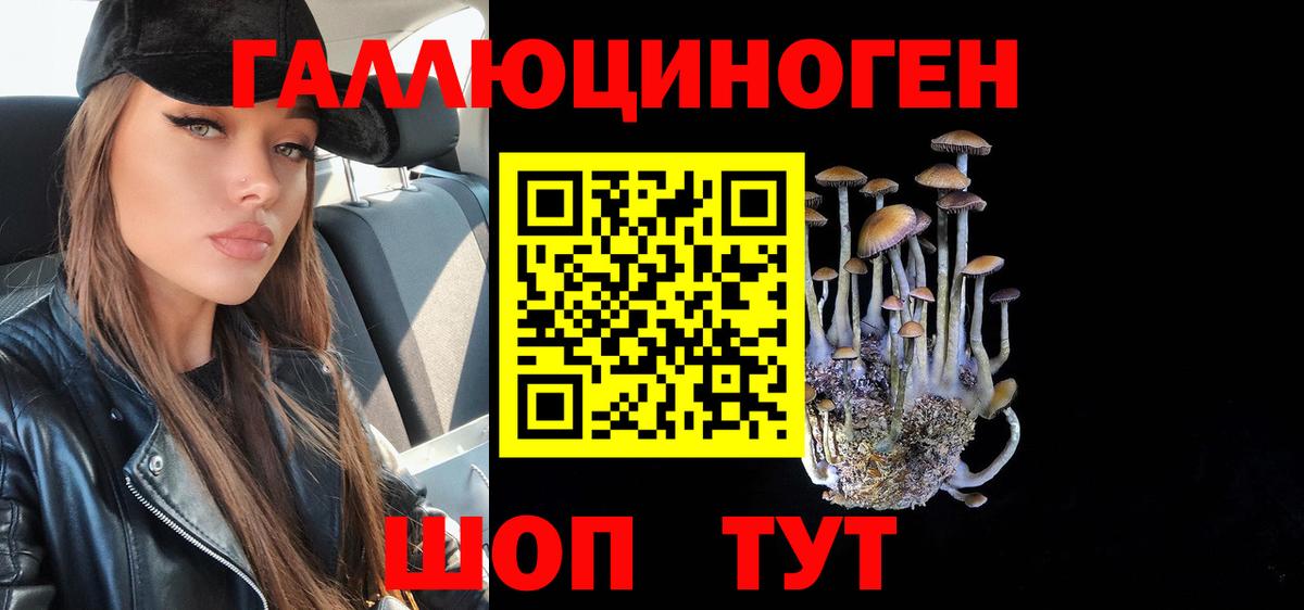 Галлюциногенные грибы Psilocybine cubensis Краснотурьинск