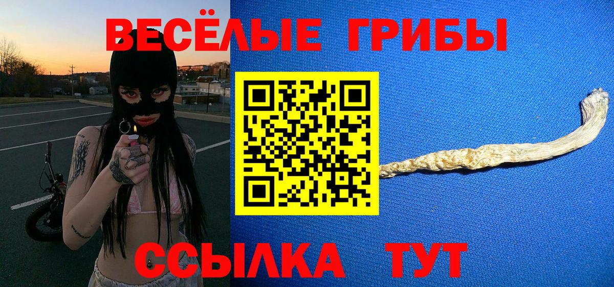Краснотурьинск  Галлюциногенные грибы Psilocybine cubensis  Вход с VPN 