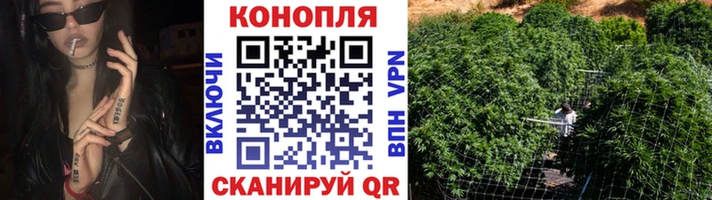Бошки Шишки сатива Краснотурьинск