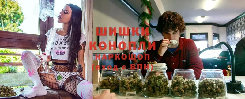 Конопля OG Kush  Краснотурьинск 